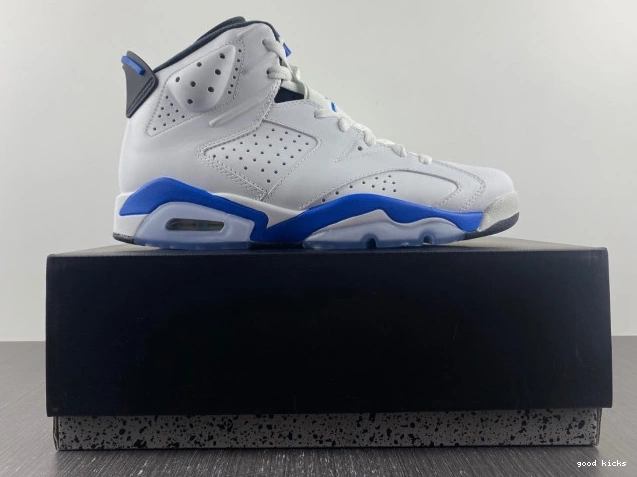 Cheap 6 (2014) Blue Jordan Retro Sport Air 384664-107 0807